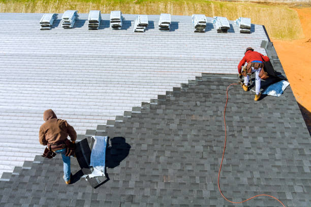 Best Storm Damage Roof Repair  in Anthony, TX