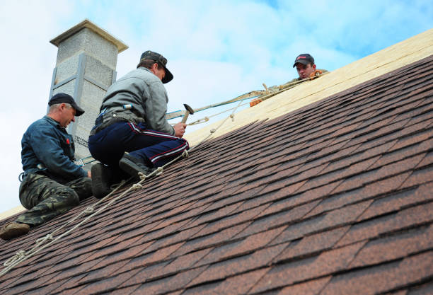 Quick and Trustworthy Emergency Roof Repair Services in Anthony, TX