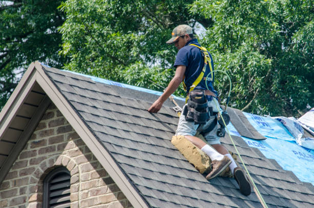 Professional Roofing Contractor in Anthony, TX